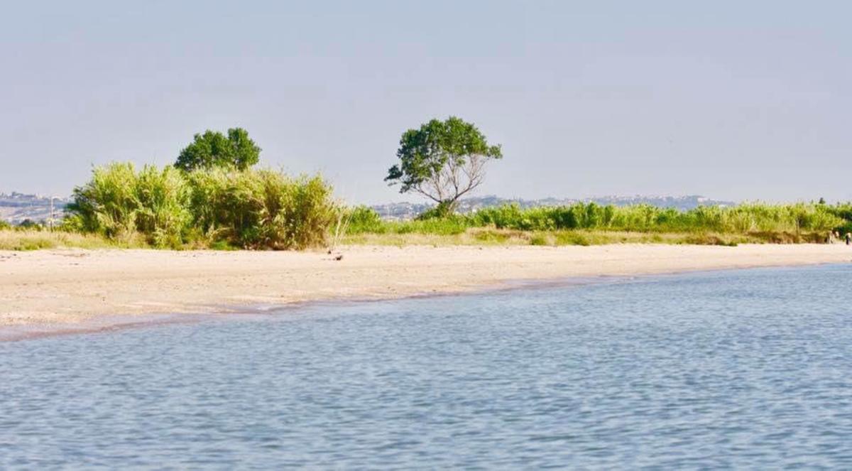 Eurcamping Roseto - Photo 1348