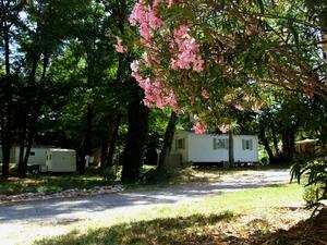 Camping Castanhada - Photo 1108