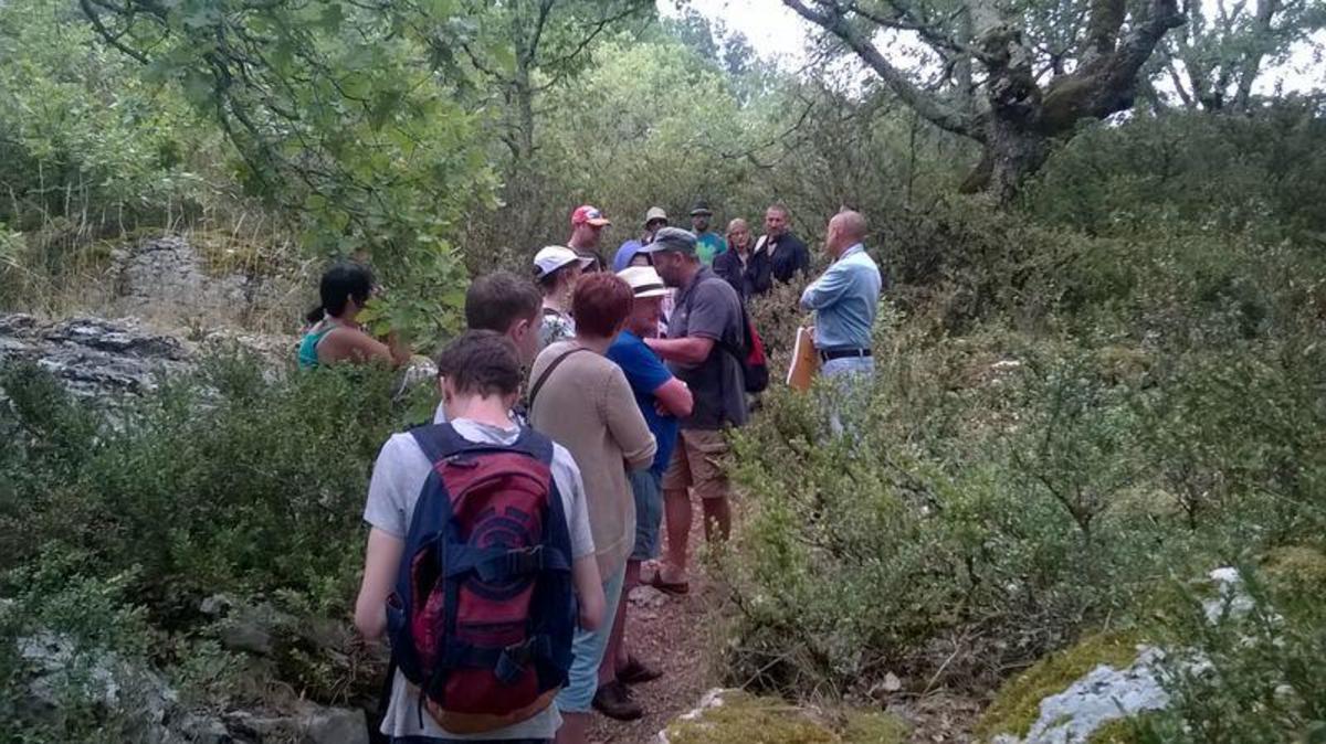 Camping Castanhada - Photo 4107