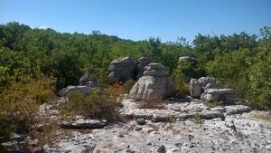 Camping Castanhada - Photo 4109