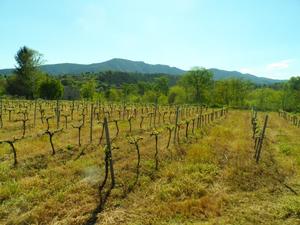 Camping Castanhada - Photo 6301
