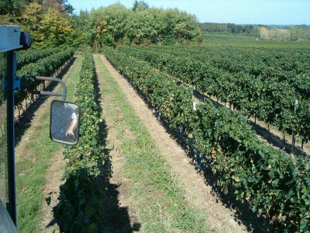 Camping Du Vieux Château - Photo 6304