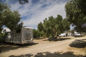 Olivia Green Camping - Photo 1112
