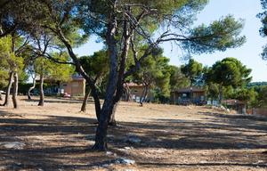 Le Pascalounet - Photo 1109