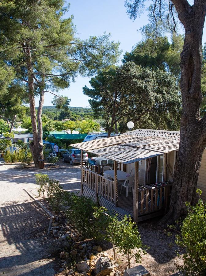 Le Pascalounet - Photo 1110