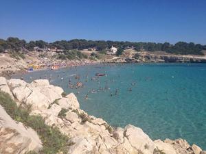 Le Pascalounet - Photo 2204