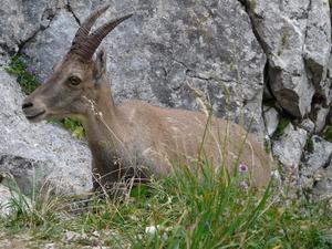 Camping La Pourvoirie des Ellandes - Photo 6202